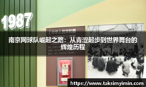 3377体育官网
