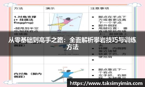 3377体育官网