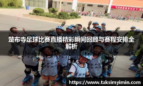 3377体育官网