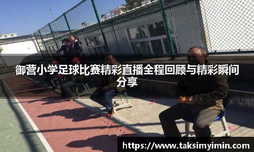 3377体育官网下载
