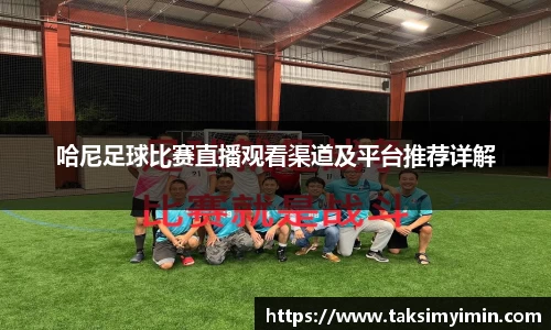 3377体育官网