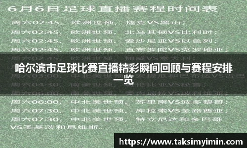 3377体育官网下载