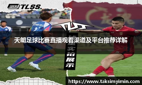 3377体育官网