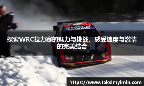 3377体育官网