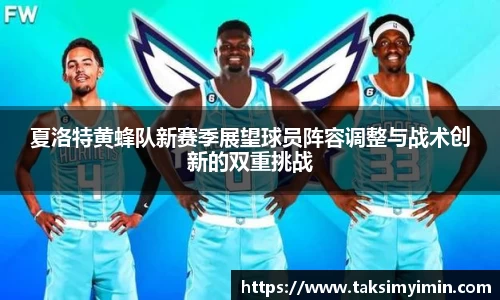 夏洛特黄蜂队新赛季展望球员阵容调整与战术创新的双重挑战