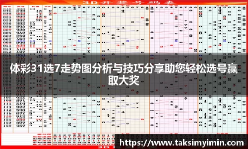 3377体育官网